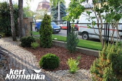 Örökzöldes előkert, kockakő járdával (36)